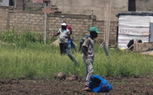 Affaire des sinistrés de Tobago: Fallou Guèye menace de détruire le bornage du Cadastre, un huissier commis