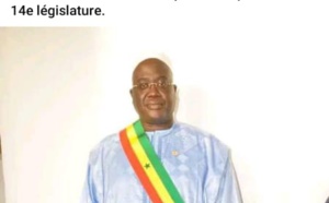 Assemblée nationale: Cheikh Abdou Bally démissionne et donne son poste de député à son jeune frère