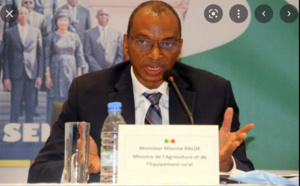 Moussa Baldé, ministre de l’Enseignement supérieur : « L’urgence sera de s’occuper de l’orientation des nouveaux bacheliers…»