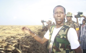 Khelcom: Cheikh Amar reconduit « Diawrigne » pour la récolte des champs du 14 octobre prochain