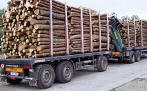 Kédougou : 356 troncs d’arbres saisis ce week-end