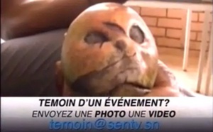 Vidéo : Une mangue qui ressemble à un crâne humain