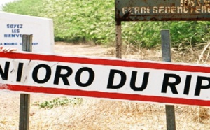 Remous au Sein de l’APR à Nioro du Rip : Bara Ndiaye et Cie fustigent la gestion du coordonnateur départemental