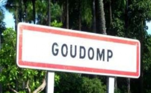 Sédhiou : A-Goudomp un dénuement asphyxiant à l’origine de la pauvreté : une voix émouvante de la jeunesse interpelle le président Macky