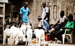 Emploi du temps / ANSD: « Les Sénégalais passent 17 heures de temps par jour, sans activité »