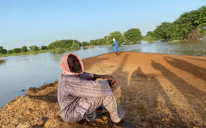 Podor : La crue du fleuve isole plusieurs villages de l’île à Morfil