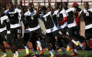 193 Ghanéens, 3000 Sénégalais et Haitiens demandent l'asile au Brésil