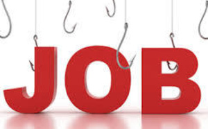 Leral/Job : Un jeune responsable commercial marketing cherche emploi
