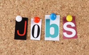 Leral/Job : Un jeune etudiant en logistique / transport / commerce cherche emploi