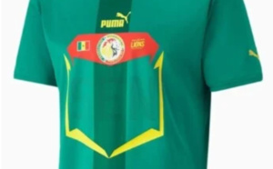 La FSF barricade ses buts: Plus de 34.000 maillots contrefaits saisis, les vendeurs traqués