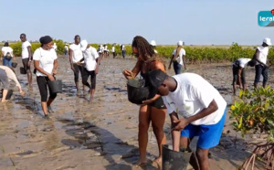 Palmarin / Education environnementale: La Sonatel et Nebeday plantent 30.000 arbres