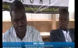 Vidéo: Kolda des paysans reçoivent des semences de riz