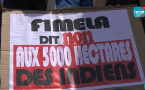 Fimela et Palmarin : Sen Agrosel "pimente" les deux localités et leurs communes respectives