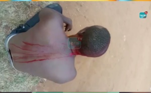 Incidents de Tchiky : Cinq gardes du corps de Ousmane Sonko arrêtés au tribunal de Dakar et transférés à Mbour