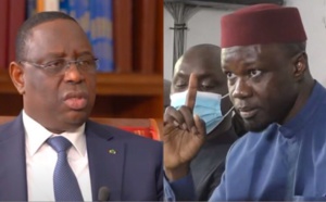 Thèses complotistes politiques: Le refuge d'Ousmane Sonko 