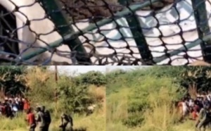 Fass Ridwane (Kaolack): Le crocodile a été finalement capturé