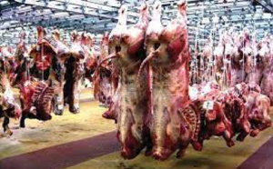 Remous au sein de la SOGAS :  Les précisions du DG Arona G. Ba