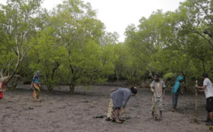 COP27 : L’Afrique demande plus d’argent pour la compensation carbone