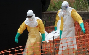 Ebola : le "patient zéro" a été identifié