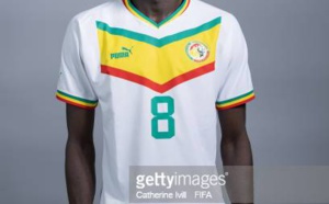 Photos : Les "Lions" posent avec les nouveaux maillots