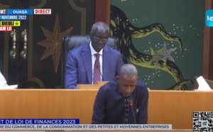 Assemblée nationale: Le plaidoyer du député de Kédougou pour une baisse du prix de la farine et du transport
