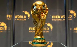 Diffusion des matches de la Coupe du monde: Le Cnra met en demeure les « opérateurs de… »