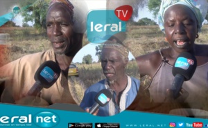 Reportage / MBOUL: Les habitants se battent pour survivre, les bourses sociales ne viennent plus !