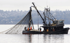 Subventions de la pêche: L’accord en gestation de l’Omc exposé