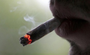 Commissariat de Dieuppeul : Un homme se présente avec ses joints, à la police pour être arrêté avant que le "Yamba" ne le tue