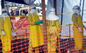 Fièvre Ebola : le Japon prêt à fournir un traitement expérimental