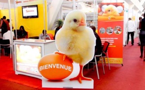 SEDIMA Group victime de contrefaçons sur son produit aliment de volaille