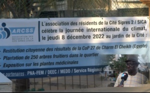 JICC: Arcs et Sica plantent 250 arbres dans leur quartier et font le bilan de la Cop 27