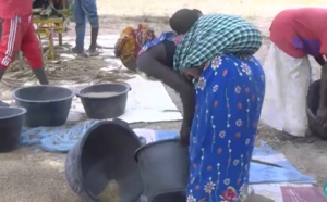 Mboulé : "Mbess, Mbodje", cette activité phare qui fait oublier le calvaire des habitants
