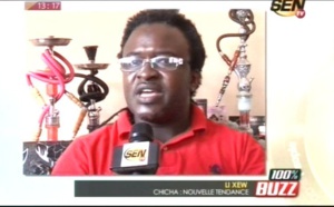 " Li Xew" 100%Buzz: Chicha la nouvelle tandance