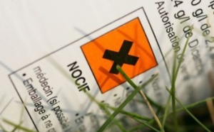 Une fille enceinte se donne la mort en ingurgitant du pesticide