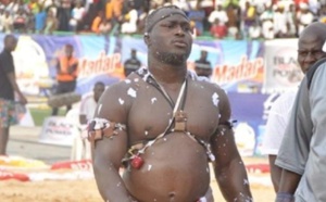De Gaulle, inarrêtable : Après BG2, le père de Boy Niang veut le Roi des arènes, Modou Lô