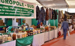 Projets d’agropôles du Sénégal : Des progrès satisfaisants enregistrés