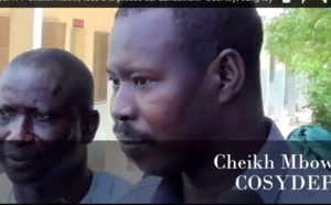 Vidéo : Cheikh Mbow s'exprime sur le lancement "Ubbi tey, Jàng tey"