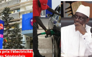 Hausse du prix de l'électricité : Consommateurs et industriels de la glace, en cause