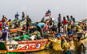 Saint-Louis / Sécurité en mer et techniques de géolocalisation : Des capitaines de pirogues outillés