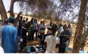 Drame à Vélingara: Un homme tombe d’un arbre et meurt…