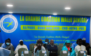 Assemblée nationale : C’est la Coalition Wallu qui a « tué » Mimi Touré ! 