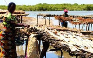Gie Badeenaa Kafoo Diya : Pour l’autonomisation des femmes de Tambacounda