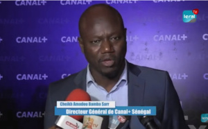 Avec le lancement de Digital Factory: Canal+ accélère sa digitalisation en Afrique