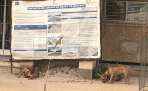 Kaolack : La mairie de Serigne Mboup assiégée