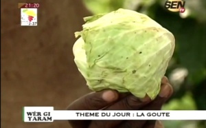 Wér Gui Waram du jeudi 23 octobre 2014 - Sen-Tv