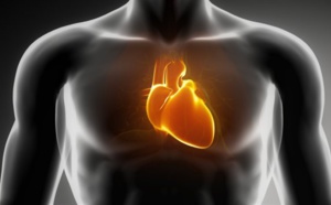 Crise cardiaque : quelques habitudes de vie simples permettraient de l'éviter