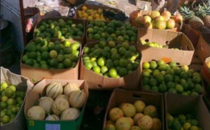 DAKAR – RUE SANDINIERY Vers une «pénurie» de produits made in Guinée