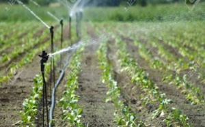 Accès à l’eau : Le Fida plaide pour des investissements en faveur des exploitations familiales