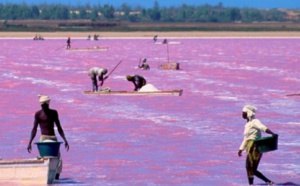 Alerte environnement : Le plan d'eau du Lac Rose a diminué de 70 %, en 50 ans, selon le directeur du CSE